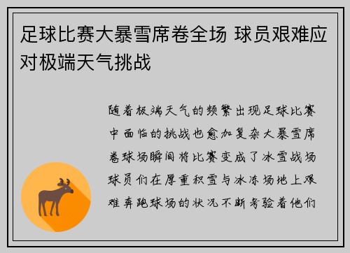 足球比赛大暴雪席卷全场 球员艰难应对极端天气挑战