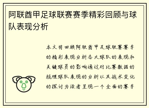 阿联酋甲足球联赛赛季精彩回顾与球队表现分析